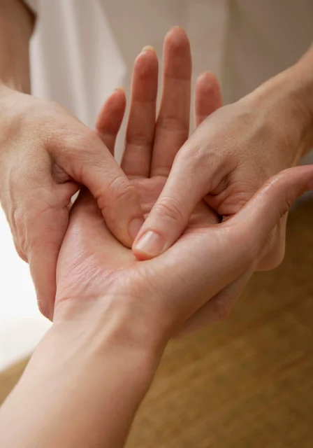 Physical Therapist